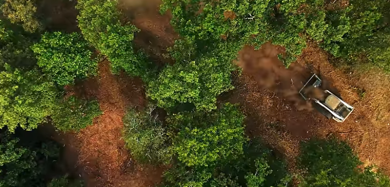 Can you run a forestry mulcher on a tractor