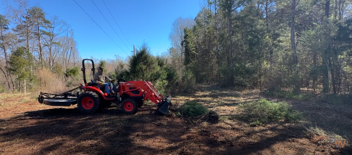 Best time of year to clear brush