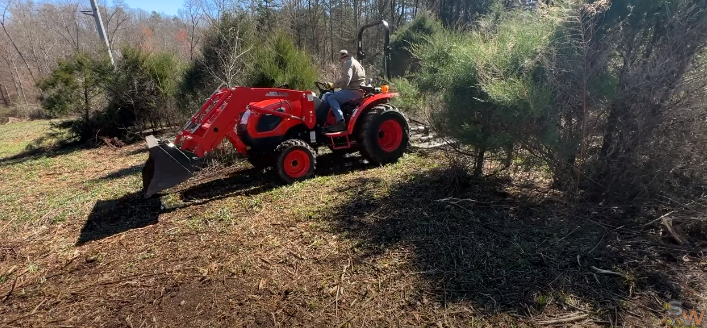 Best time of year to clear brush